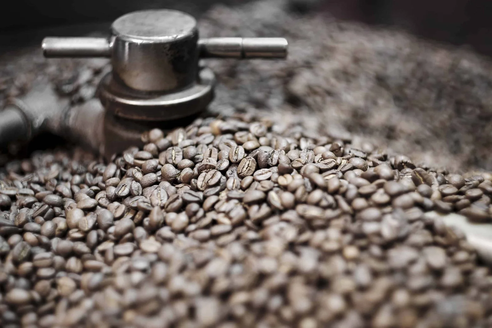 Freshly roasted coffee beans beside the roaster, cooling arm mechanism in soft focus