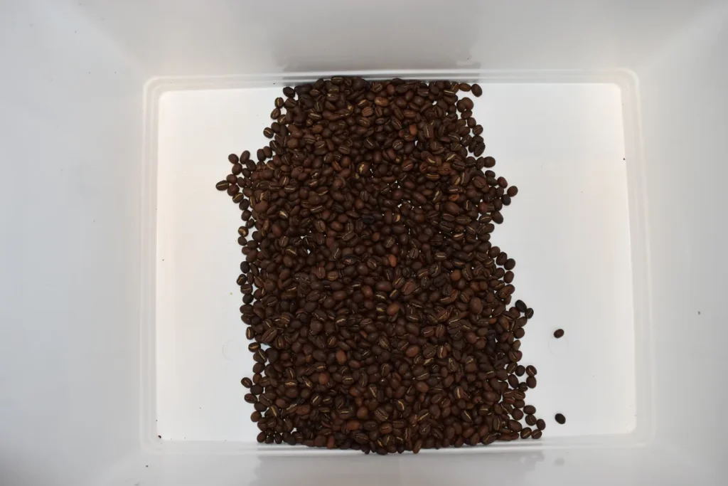 Ethiopian Yirgacheffe single origin, roasted beans close-up — Siboni's Coffee, Pymble